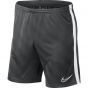 M NK BRT ACDMY19 SHORT JAQ KP